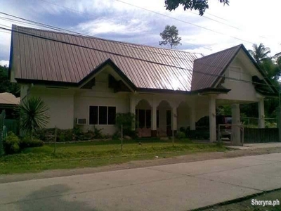 TWO-STOREY HOUSE AND LOT FOR SALE IN DUMAGUETE CITY ID 14882