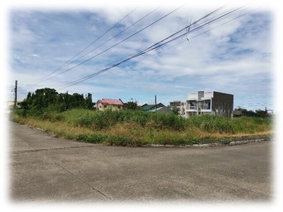 Lot For Sale In Cabugao, Roxas