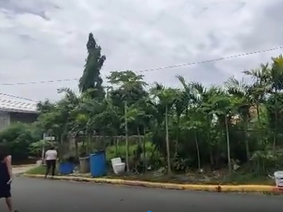 Lot For Sale In Don Bosco, Paranaque