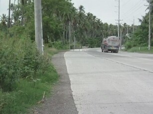 3 Hectares Industrial/Commercial Land Hiway Bunawan Davao