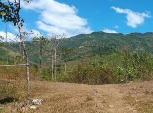 FARM LOT FOR SALE IN MABINAY ID 14896