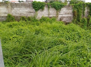 Lot For Rent In Kawit, Cavite