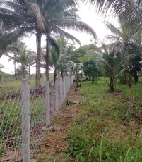 Lot For Sale In Balintad, Baungon