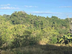 Lot For Sale In Barangay 1, Sipalay