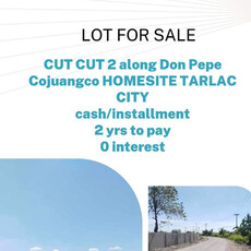 Lot For Sale In Cut-cut Ii, Tarlac