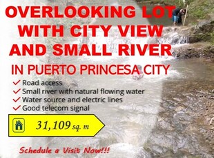 Lot For Sale In San Manuel, Puerto Princesa