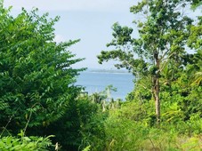 Samal Davao Lot with Seaview and High Elevation