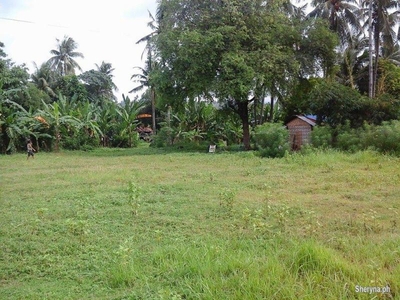 50sq. mtrs flat land residential lot affordable data2