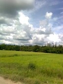 12,761 sqm FARM LOT IN BATANGAS For Sale Philippines