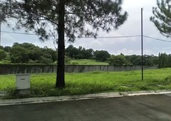 818sqm residential lot for sale in Portofino South Daang-Hari Alabang near MCX and Ayala Alabang