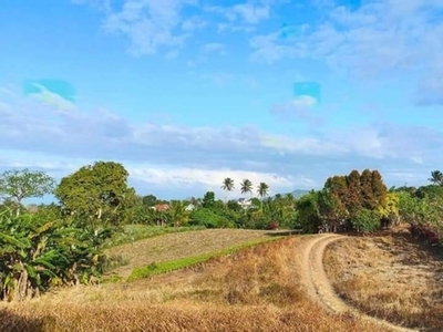 Lot For Sale In Malabag, Silang