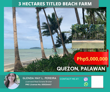 Lot For Sale In Quezon, Palawan