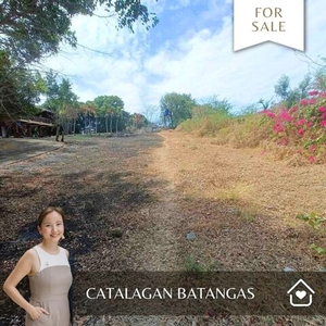 Lot For Sale In Lucsuhin, Calatagan