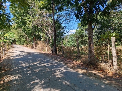 Lot For Sale In Santa Lucia, Angat