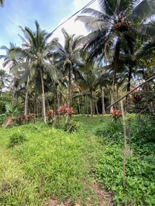 Lot For Sale In Manambulan, Davao