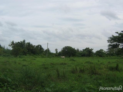 204 Sqm Residential Land/lot Sale In Candelaria
