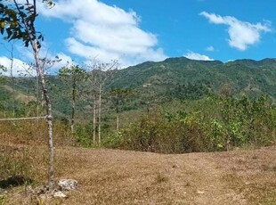 Land and Farm for sale in Mabinay