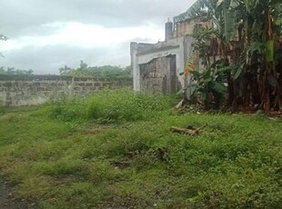 Lot For Rent In B.f. Homes, Paranaque