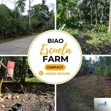 Lot For Sale In Biao Escuela, Davao