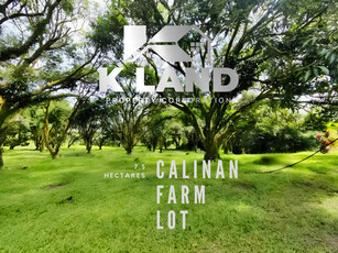 Lot For Sale In Calinan, Davao