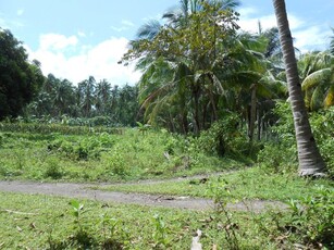 Lot For Sale In Liptong, Bacong