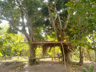 Lot For Sale In Matagbak I, Alfonso
