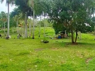 Lot For Sale In San Isidro, Island Of Garden Samal, Samal