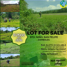 Lot For Sale In Santo Nino, San Felipe