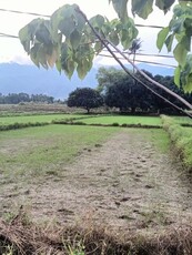 Lot For Sale In Taritien, Narra