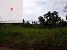 Agricultural land with rice field and a source of water (Spring) and a coconut