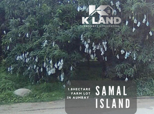 Island Of Garden Samal, Samal, Lot For Sale