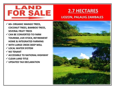2.7 Hectares Agricultural Lot for sale at Liozon, Palauig, Zambales