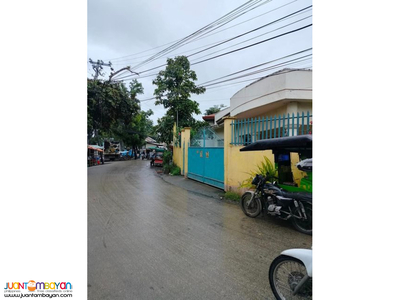 3-Bedroom house and lot ideal for commercial @Lapu-lapu City