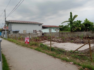 Beautiful place, for personal and/or business purposes. Lot for sale at Lubao