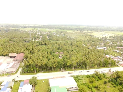 Lot For Sale In San Miguel, Digos