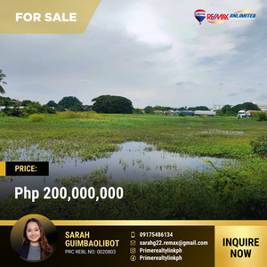 Lot For Sale In Tinejero, Pulilan
