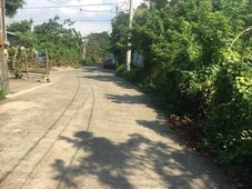 3000 SQUARE METERS LOT FOR SALE IN SILANG CAVITE