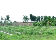 OWN A FARM LOT at Brgy. Ilongbukid, San Rafael, Iloilo