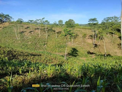 Lot For Sale In Indulang, Talakag