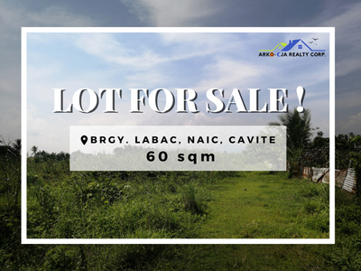 Lot For Sale In Labac, Naic