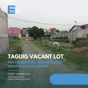 Lot For Sale In Palingon, Taguig