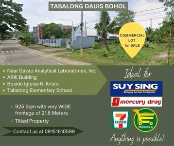 Lot For Sale In Tabalong, Dauis
