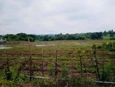 3.4 HECTARE LAND FOR RESIDENTIAL OR COMMERCIAL USE (NEGOTIABLE)