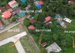 Residential Lot for Sale in Puting Lupa, Calamba Laguna
