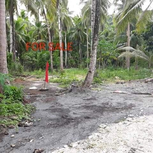 Lot only for sale in Siargao