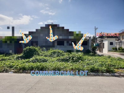 Commercial lot in mamatid cabuyao Laguna