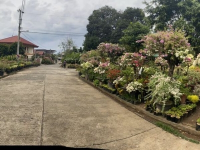 Maligaya Village, Prime Corner Lot(s)