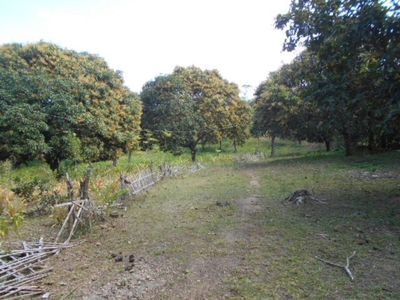 2,717 sqm Lot for sale ideal to Warehouse at Ungka I, Pavia, Iloilo