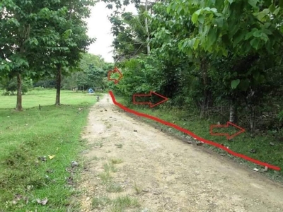For Sale: Farm Lot in Brgy East Valencia Guimaras - 1.3 Hectare