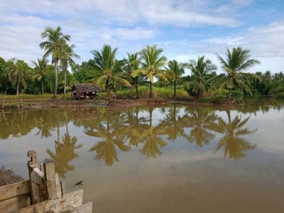 Land for Sale in Buenavista Agusan del Norte